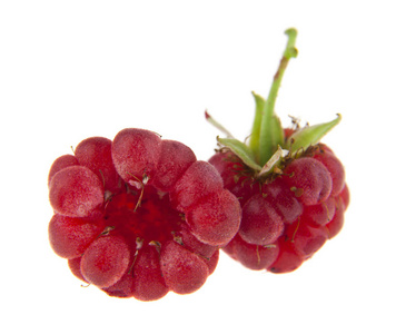 浆果树莓在白色背景下分离。作为包装设计的一个要素
