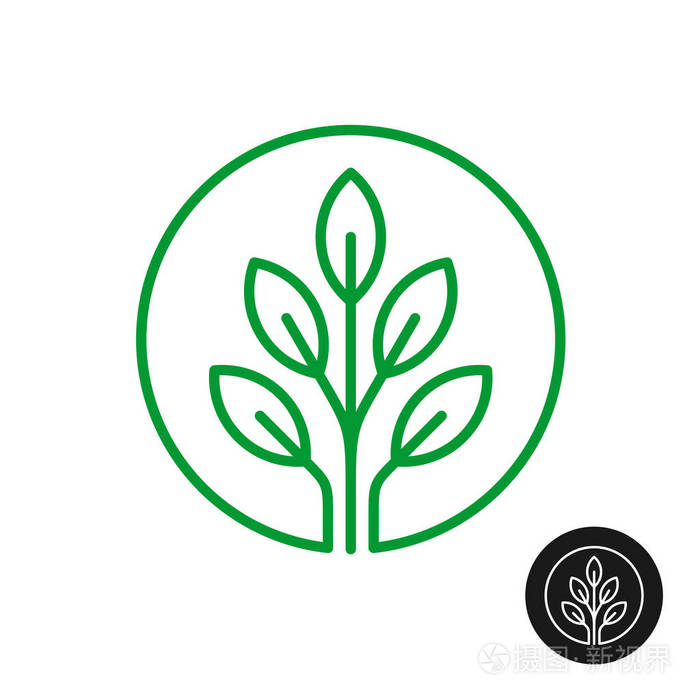 带树叶的线型圆形徽标