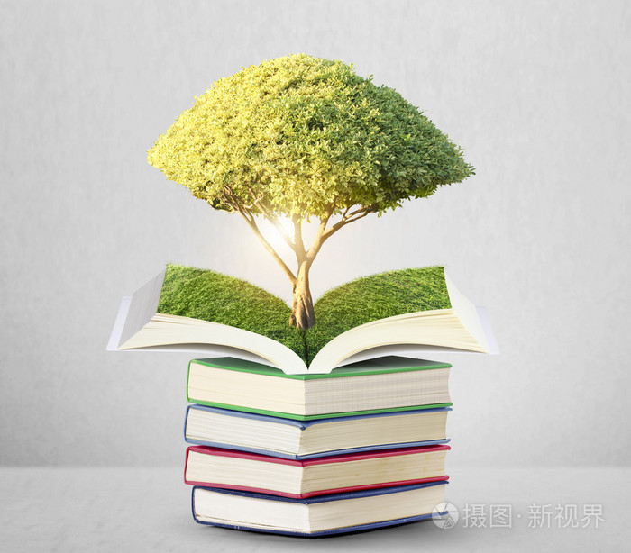 用绿树打开的书