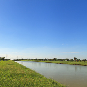 蓝蓝的天空的农村夏天风景