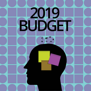 概念手写显示2019预算。商业照片文本商业财务计划的新年投资策略