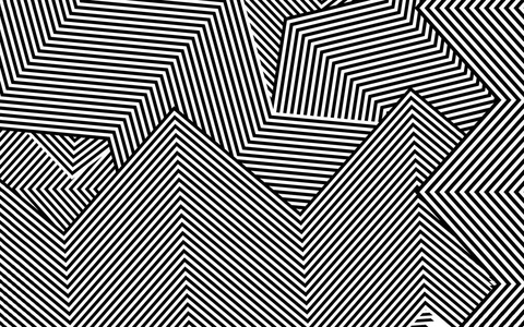 斑马图案黑白条纹矢量