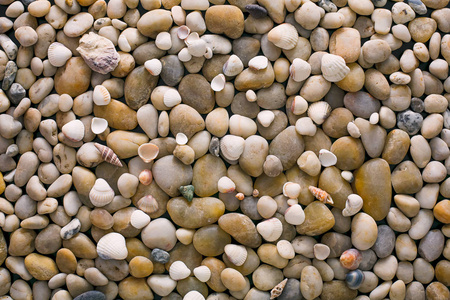 海卵石背景，天然海滨石头