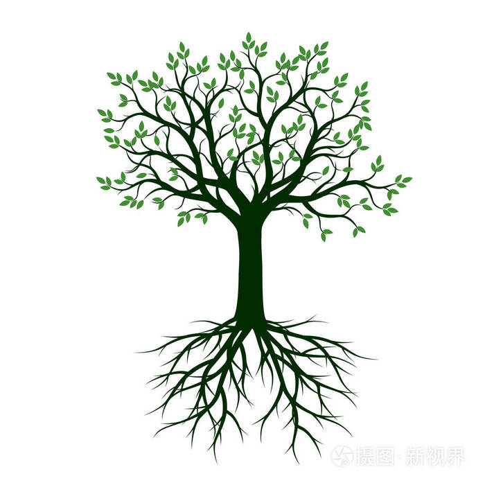 绿树与根。矢量图