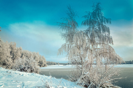 冬季景观与树木，覆盖着白霜和结冰的湖面上的视图