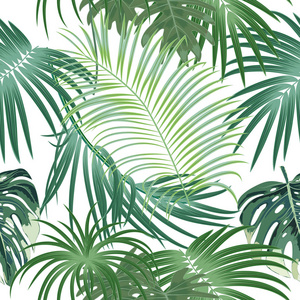 热带丛林棕榈树叶无缝模式, 矢量背景