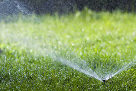 在炎热的夏日, 草坪洒水喷头在花园的草地上喷洒水。自动浇水草坪。园艺与环境概念