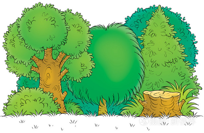 树桩在郁郁葱葱的森林的边缘