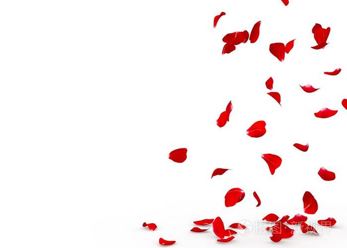 玫瑰花瓣掉在地上