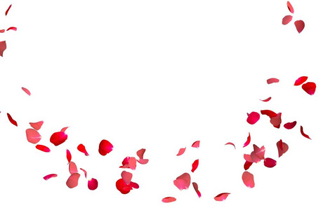 红玫瑰花瓣在圆圈中飞舞。您的照片或文本的中心可用空间