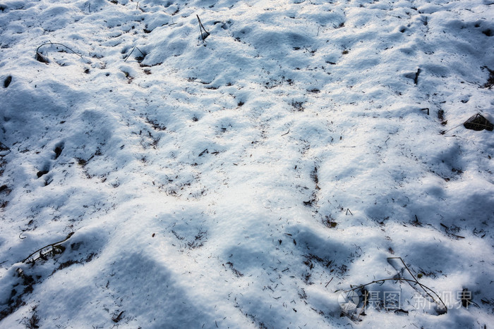 雪地面