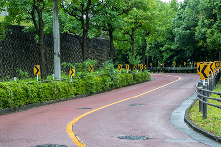 日本东京稻城红路树图片