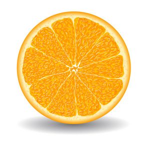 切橙子橙子切片在白色的矢量图照片