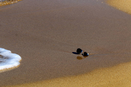 地中海沿岸沙滩上的眼镜躺在海滩上