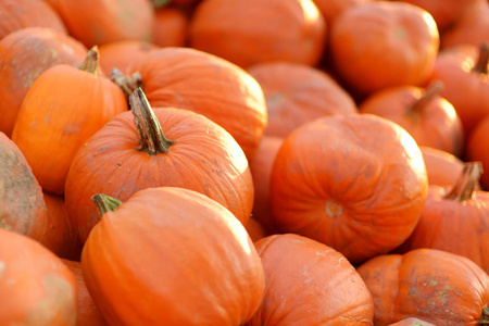 健康 snak干果和坚果各种各样的新鲜水果和蔬菜上自然无缝的水果和