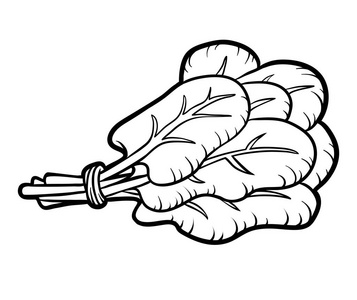 菠菜群图片-菠菜群素材-菠菜群插画-摄图新视界