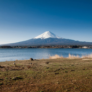 从湖山富士视图