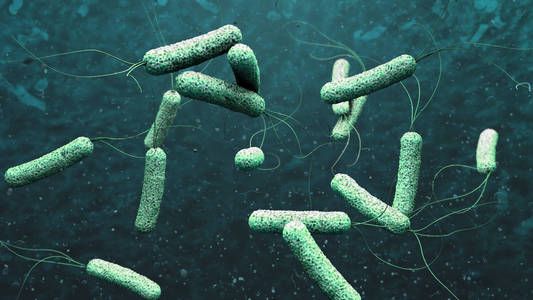 3d. 深绿色水体中霍乱病原体的图示