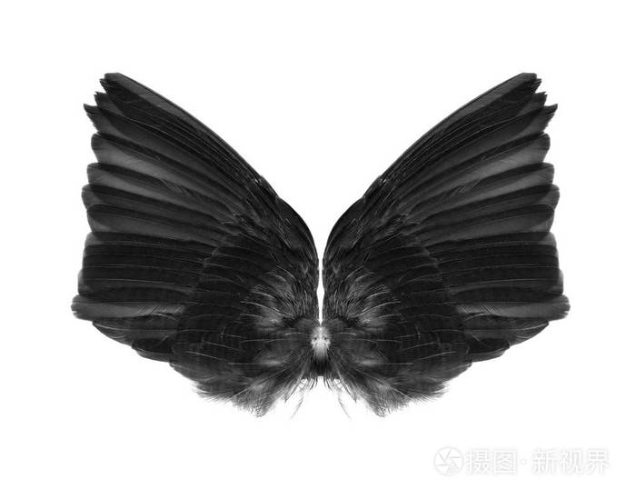 孤立在白色背景上的翅膀
