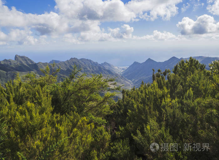 anaga山尖峰与绿柏树的景观点