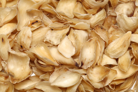 干的百合种球照片 正版商用图片07hamw 摄图新视界