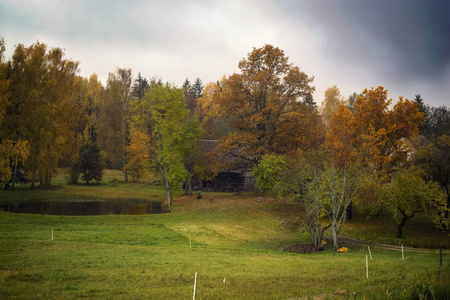 拉脱维亚 Cesis 镇附近的秋季景观