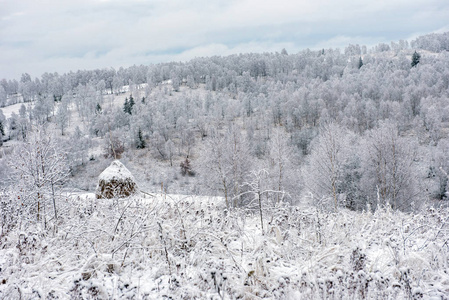 冬季乡村景观雪覆盖的树木和丘陵