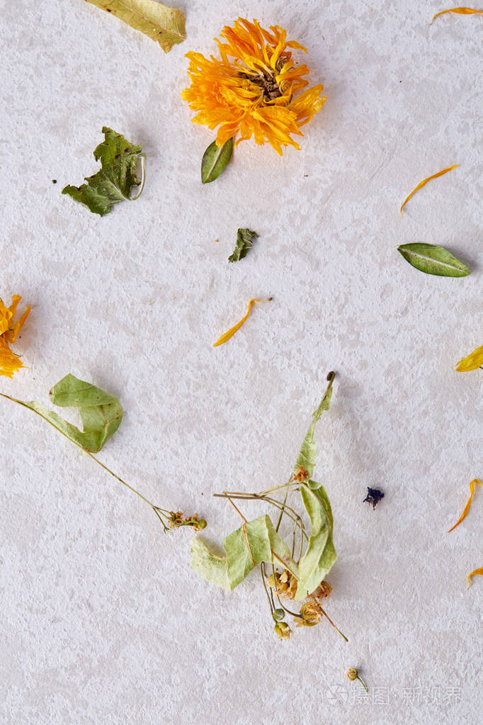 在白色背景,顶部视图,特写,选择性聚焦下分离的一系列花瓣