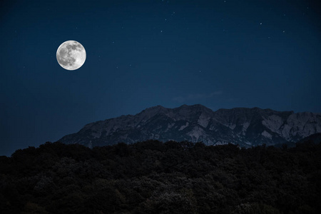 穿过森林的山路在满月的夜晚。与月亮的深蓝色天空风景夜景