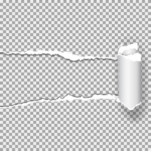 现实的矢量与翻录边缘与空间为您的文字撕纸 在本文中孔