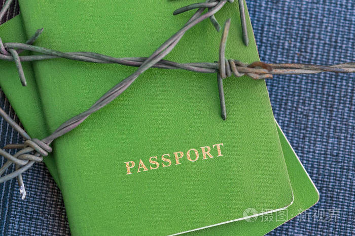 绿色护照背后有铁丝网的蓝色纺织品背景, 特写.色调