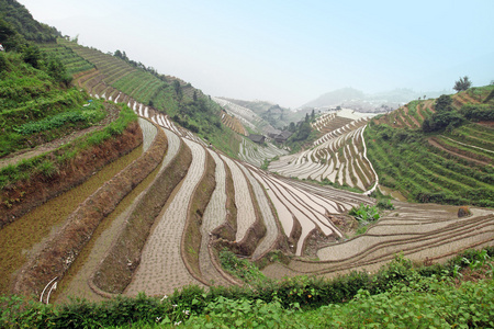 龙脊梯田