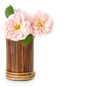 美丽粉红玫瑰的花的花瓶，孤立在白色