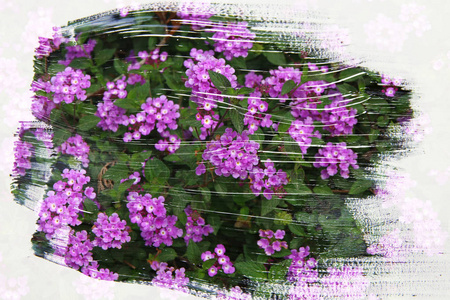 梦幻般抽象的花朵形象。水彩笔触纹理对双曝光效果的影响