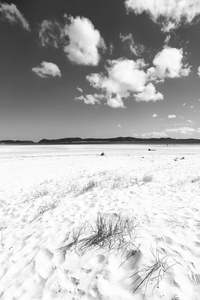 在澳大利亚的降岛海滩像天堂的概念和放松