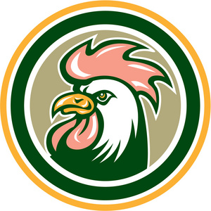 孤立的公鸡头矢量图鸡公鸡头吉祥物鸡公鸡头吉祥物详细的体育标志模板