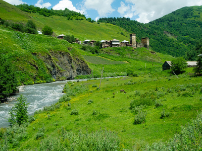 在 davberi 中的乡村风景