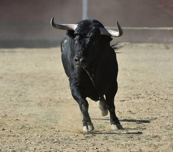 牛跑图片