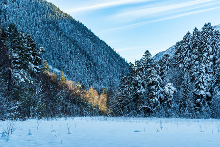 冬天山风景与岩石和雪图片