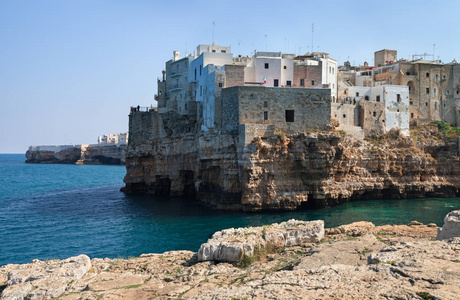 Polignano 母马的观点