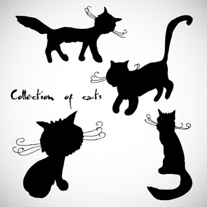 四只猫的集合