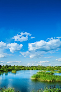 夏季森林湖