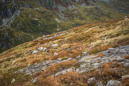 挪威 Folgefonna 国家公园的一幅美丽的秋季风景, 在刮风下雨的天气中远足。在斯堪的纳维亚的山脉。荒野中的秋景