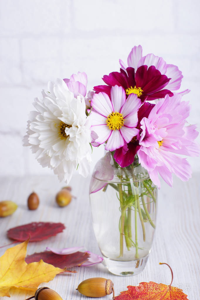 美丽而细腻的花朵在玻璃透明花瓶旁边秋叶和橡子