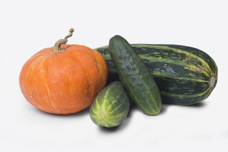 单个胡萝卜在白色背景上的蔬菜照片