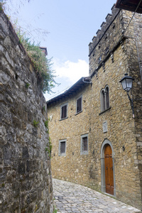 Monte FioralleChianti Tuscany