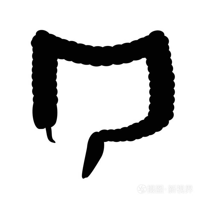 冒号的黑色剪影肠独立背景上的矢量插图