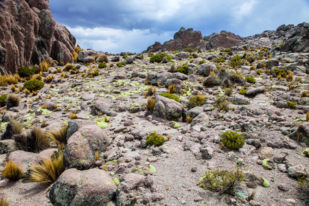 秘鲁高原高山景观图片