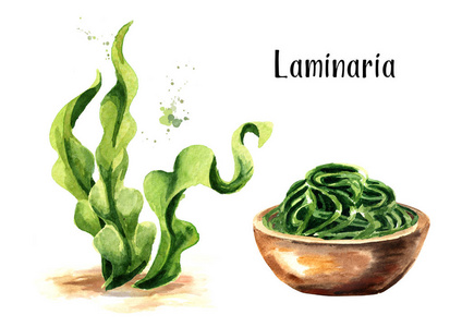 海带图片-海带素材-海带插画-摄图新视界