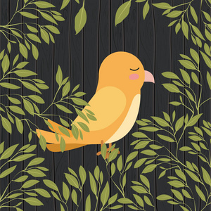 森林景观场景中的可爱黄鸟